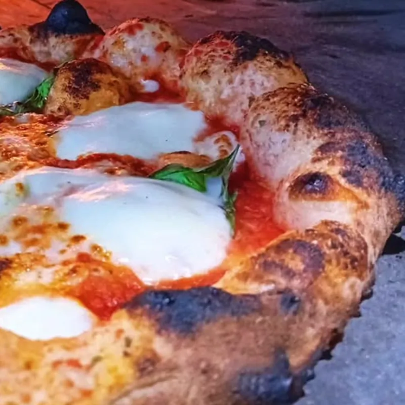Gros plan sur le cornicione d'une pizza Margherita Il Piacere : croûte gonflée, bords noircis, mozzarella bouillonnée et basilic